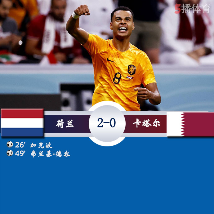 荷兰  2 - 0  卡塔尔