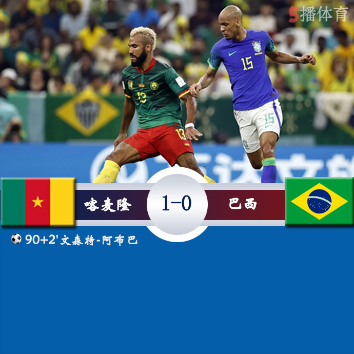 喀麦隆  1 - 0  巴西 